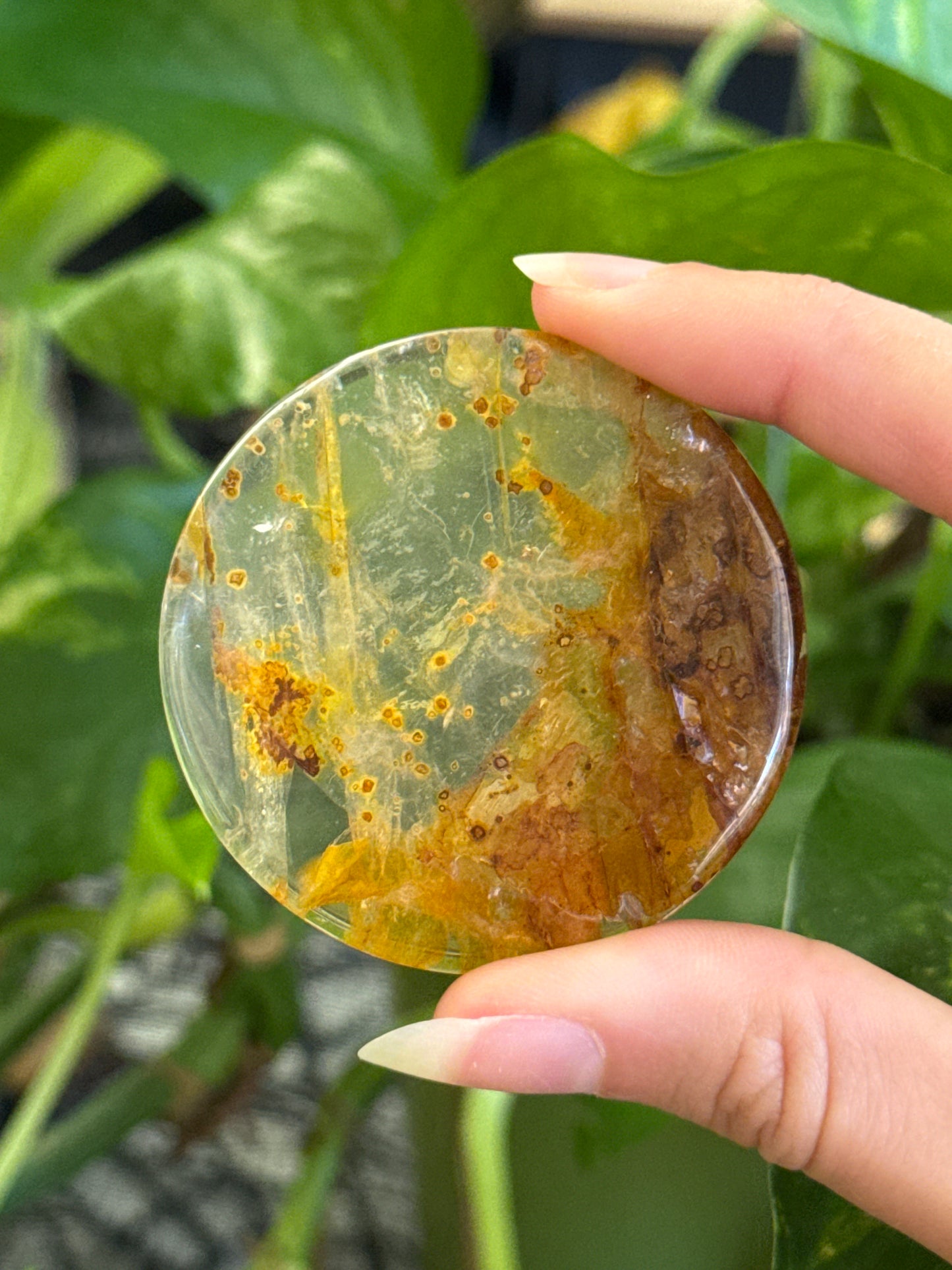 High Clarity Golden Healer Disk