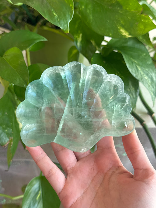 Large Fluorite Shell Bowl