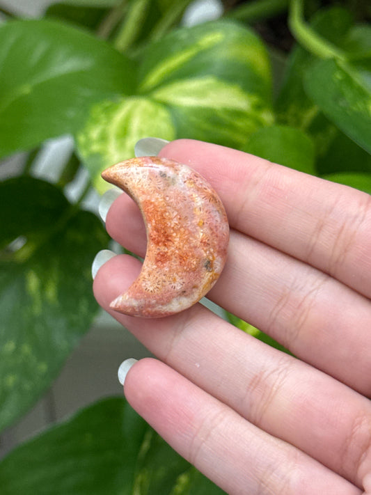 Fossilized Coral Moon
