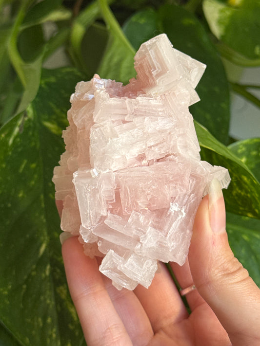 Pink Halite Specimen