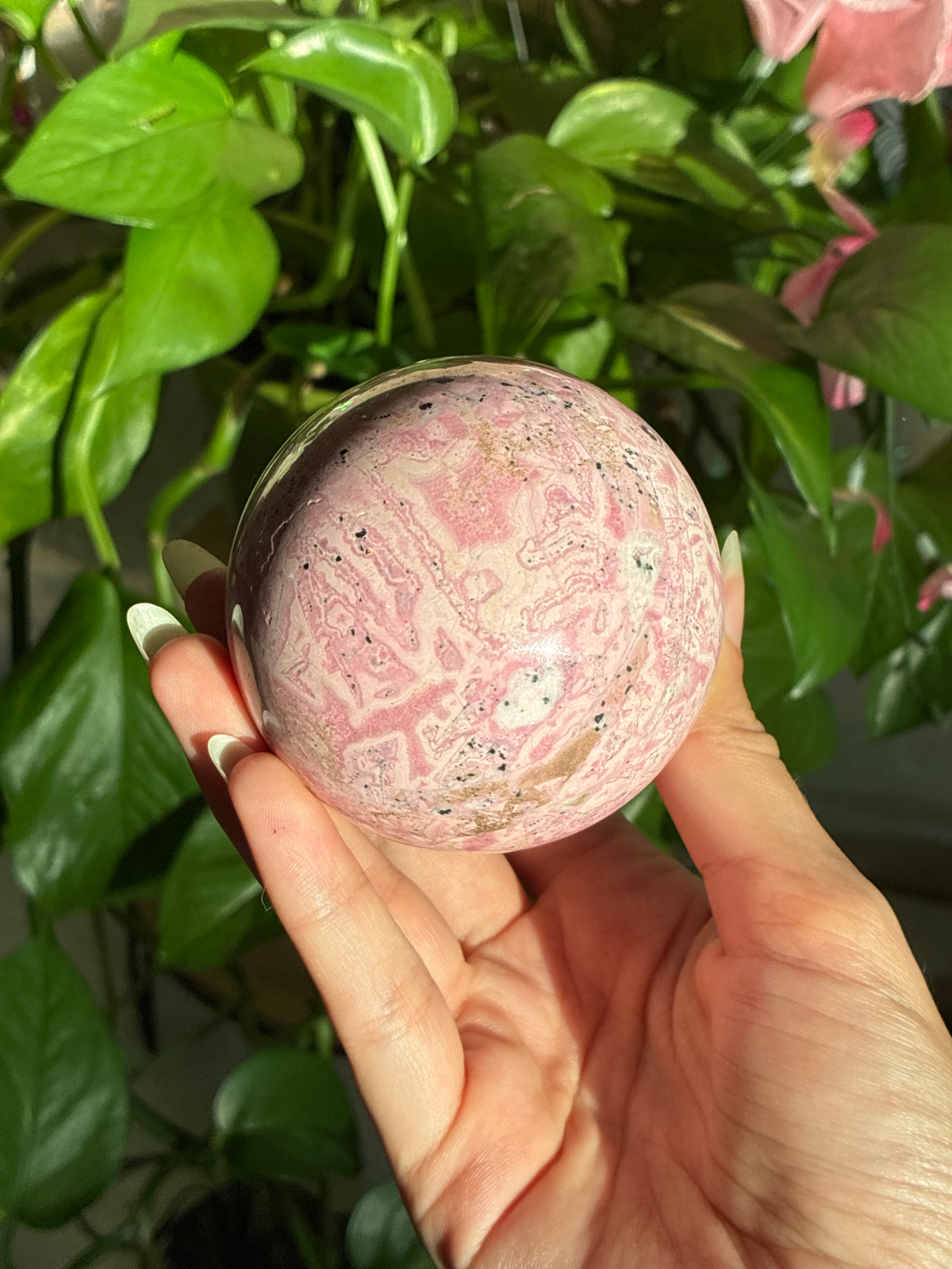 Large Bubblegum Rhodonite Sphere