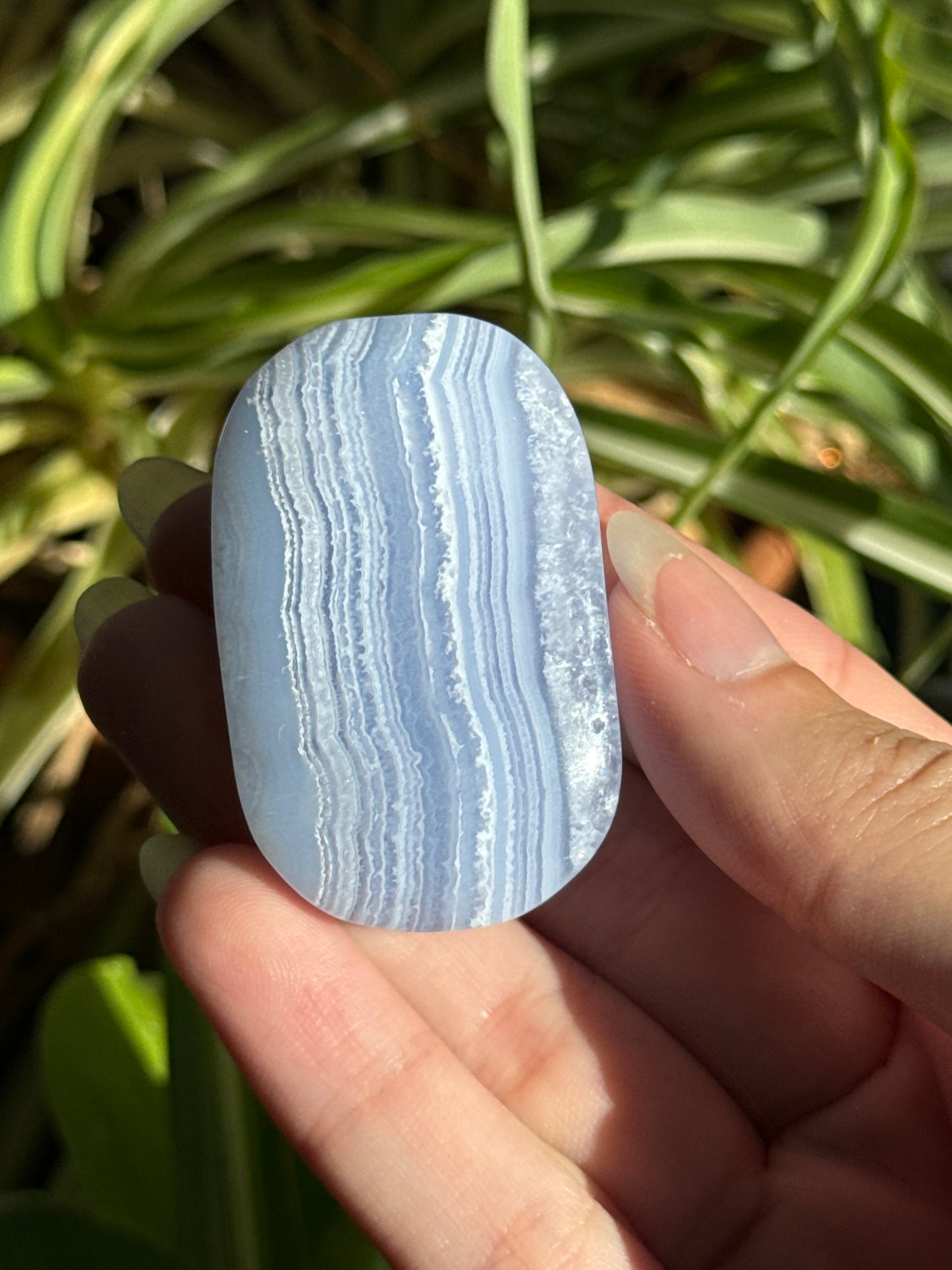 Blue Lace Agate Palmstone | You Pick