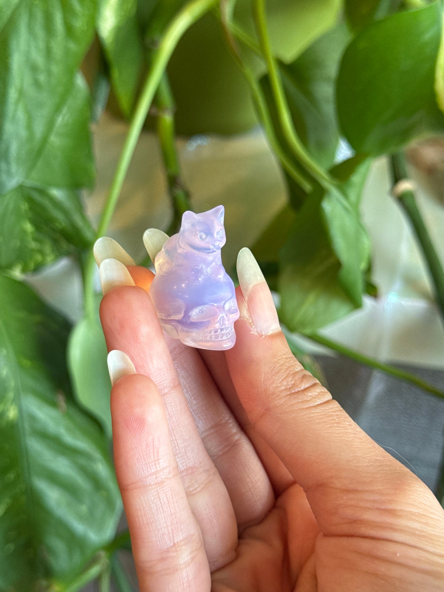 Loafing Cat on Skull Pink Opalite