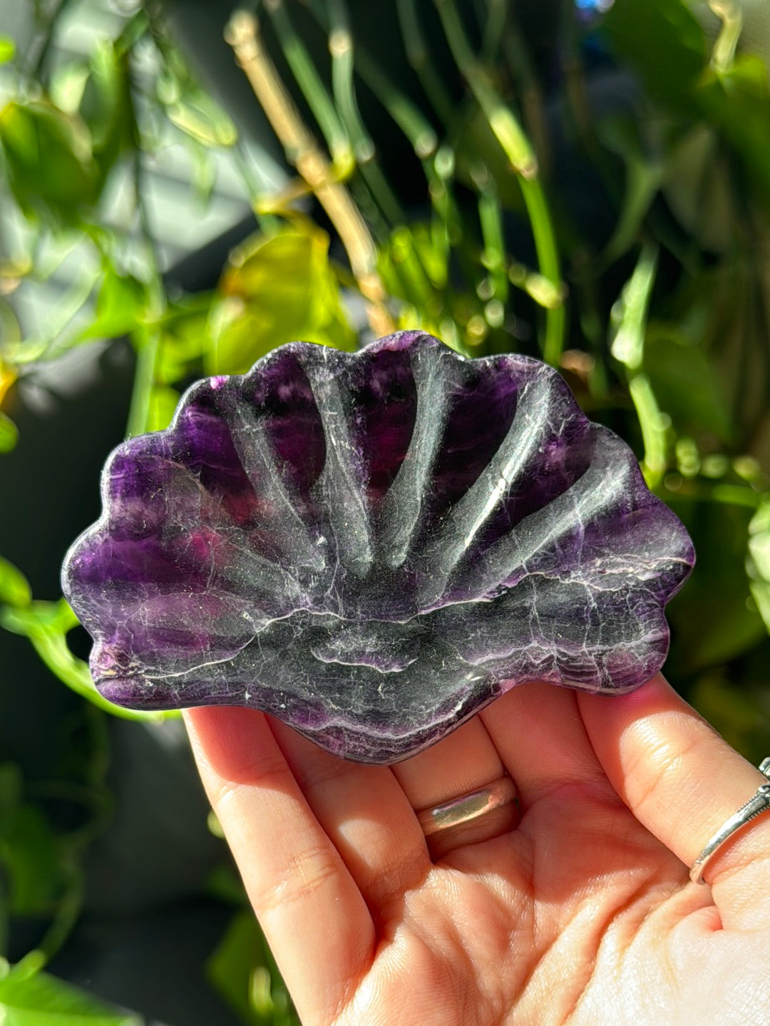 Deep Purple Shell Bowl