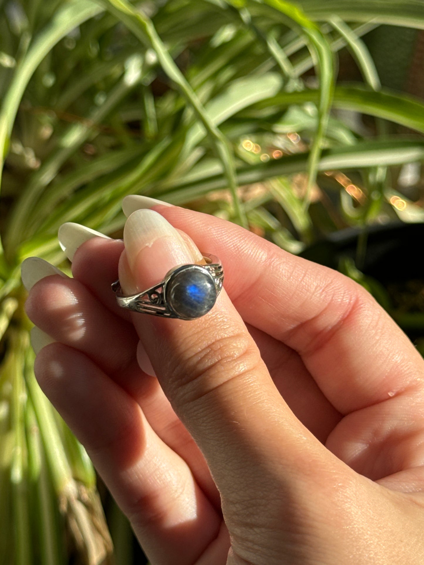 Cobalt Blue Labradorite Adjustable Ring | You Pick