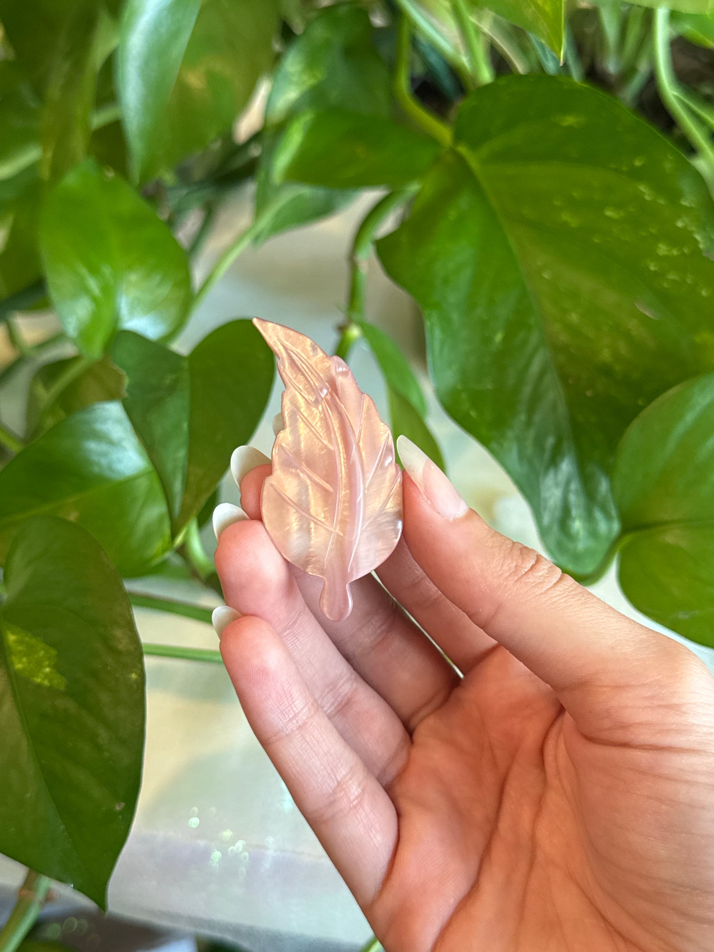Flashy Pink Shell Hand Carved Feather