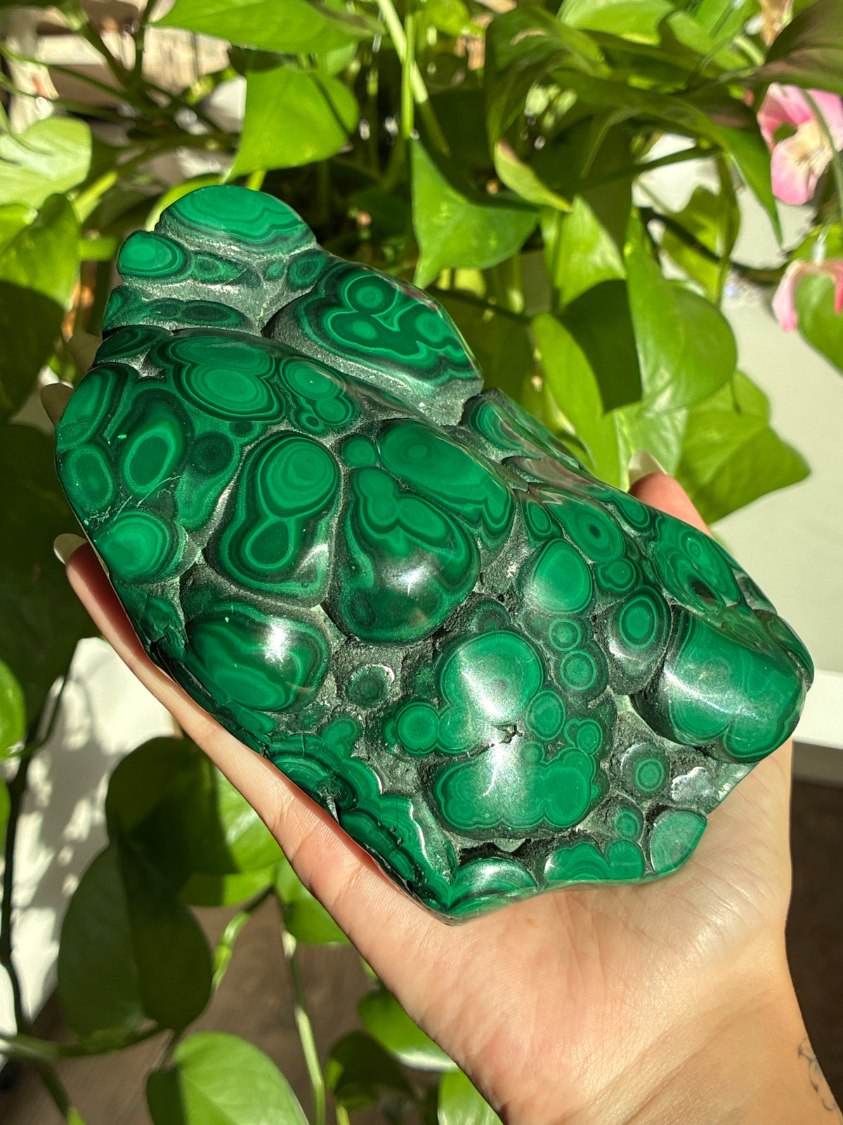 Statement Collectors Malachite Polished Large Freeform