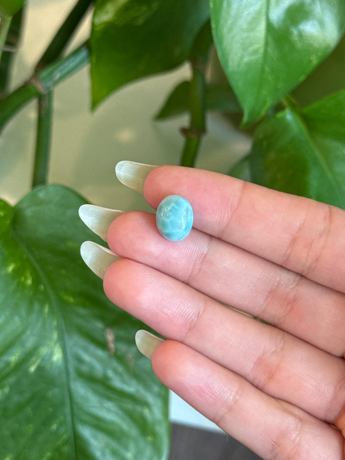 Larimar Cab