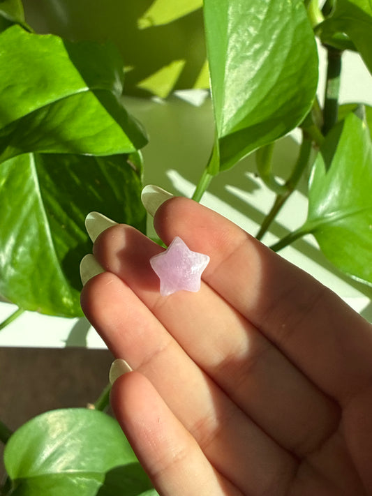 Kunzite Mini Star
