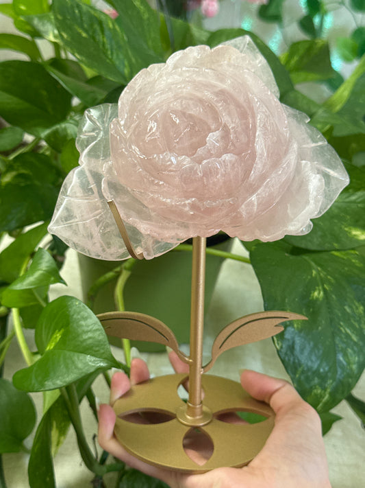 Statement Gemmy Rose Quartz Rose Carving