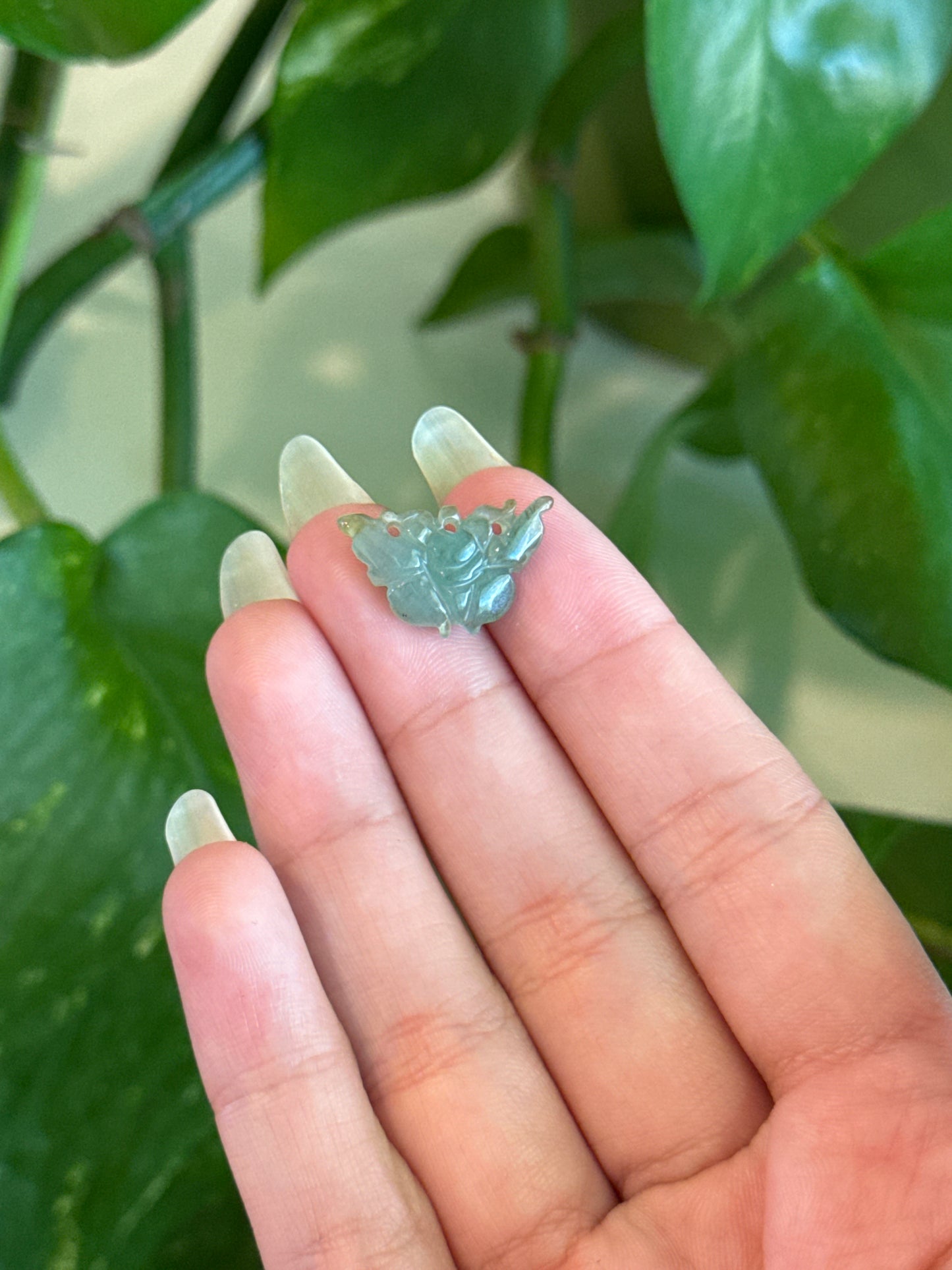 Jade Butterfly