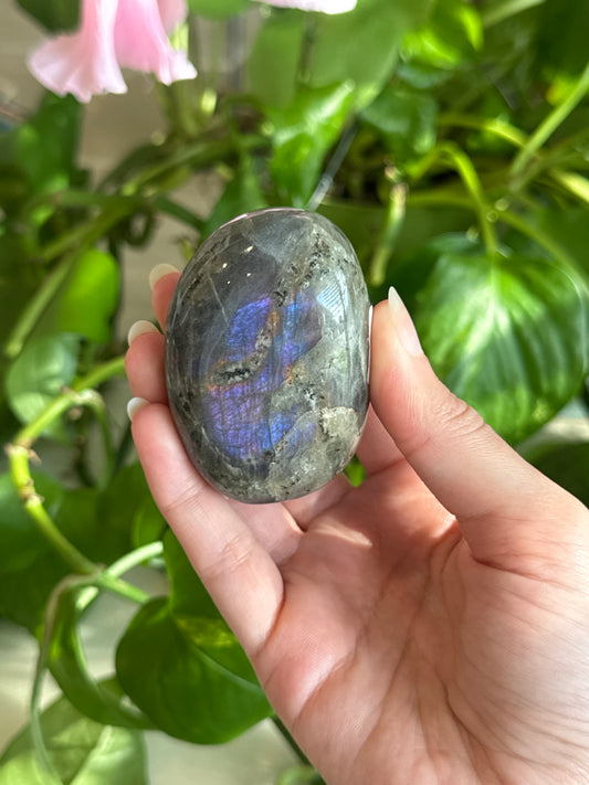 Labradorite Chubby Palm Stone A