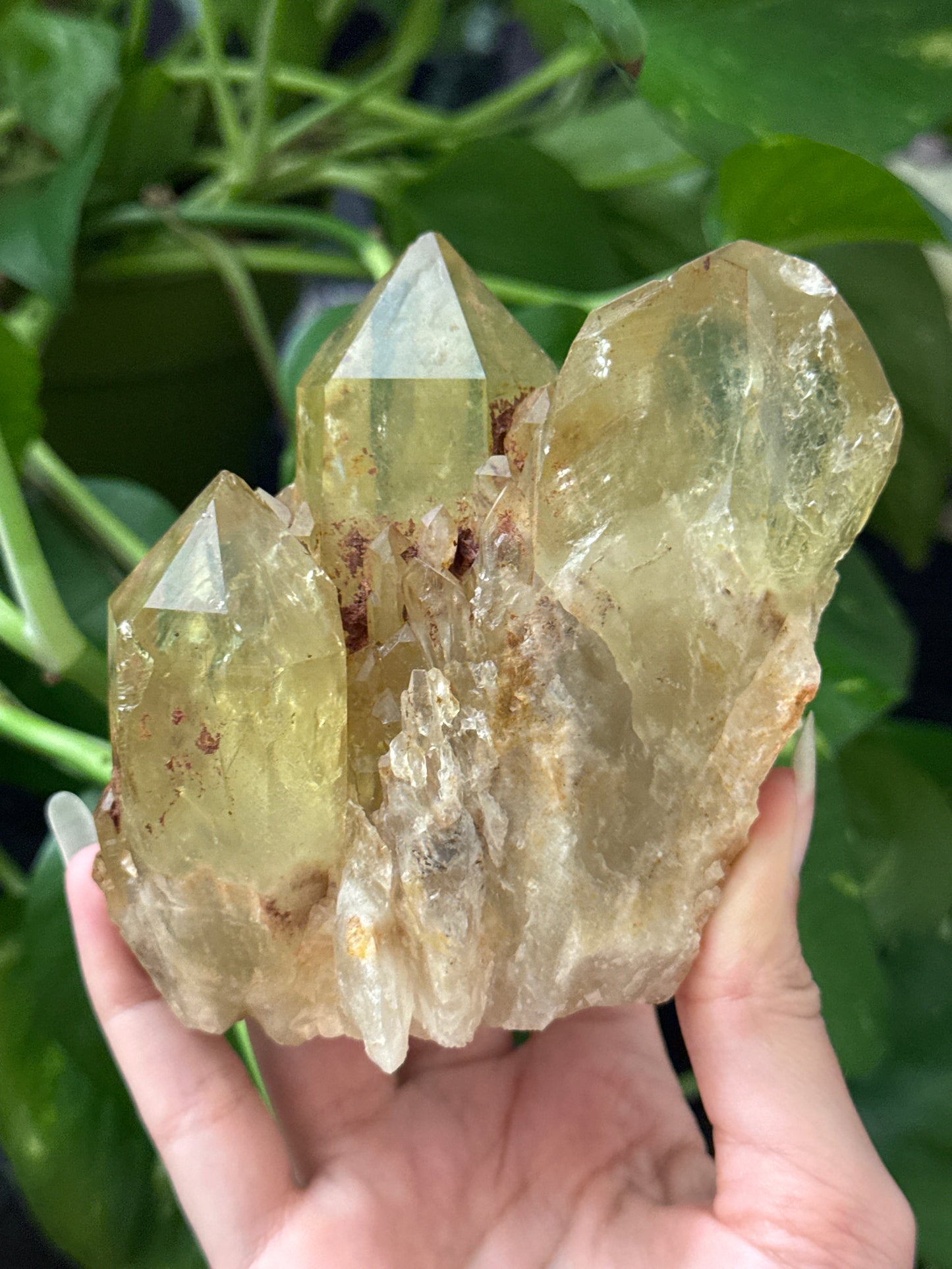 Natural Congo Citrine Specimen A
