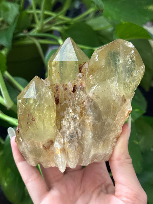 Natural Congo Citrine Specimen A
