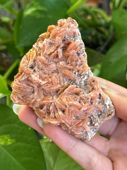 Peachy Feathered Barite Specimen
