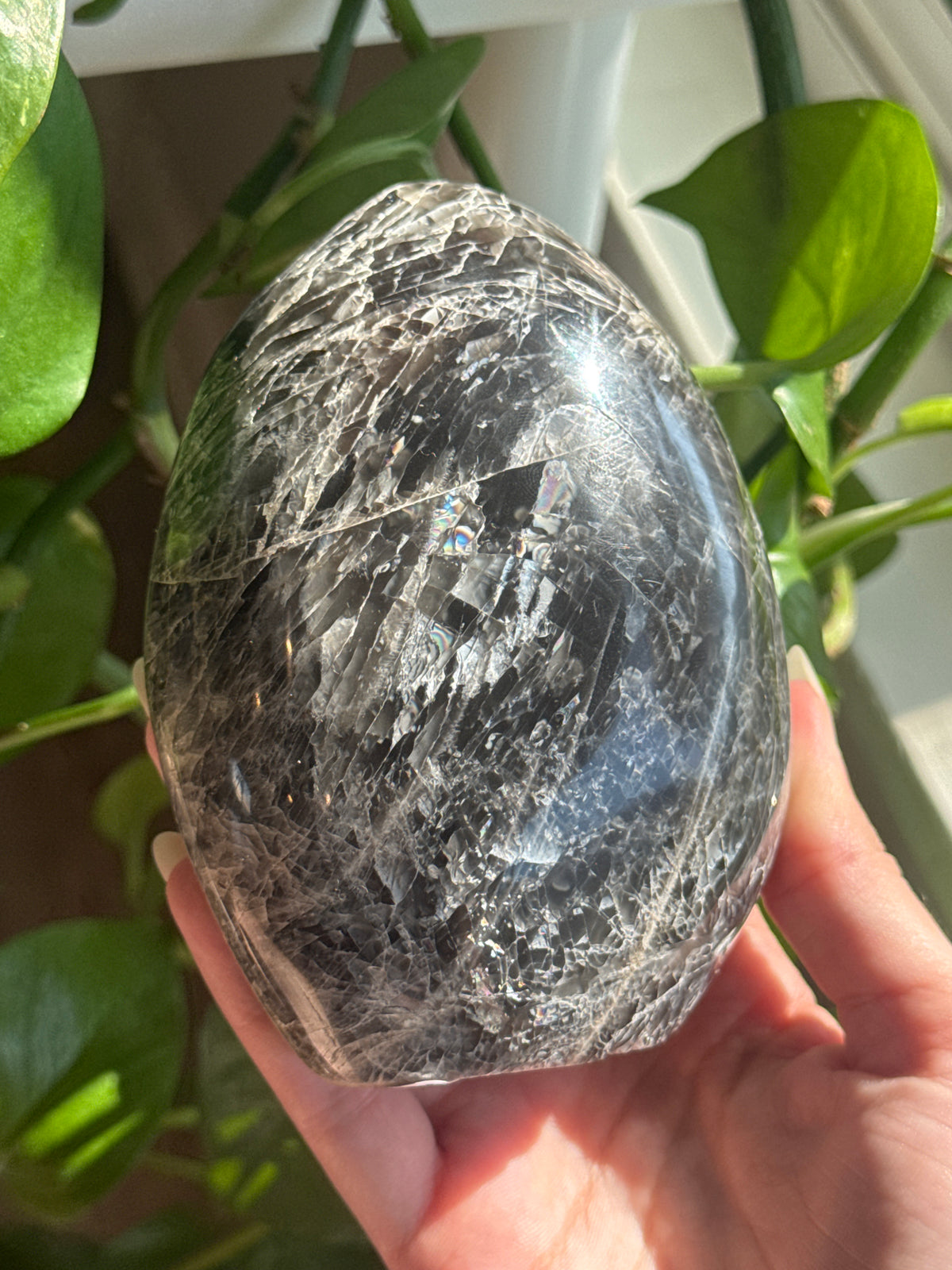 Flashy Black Moonstone Freeform with Rainbows