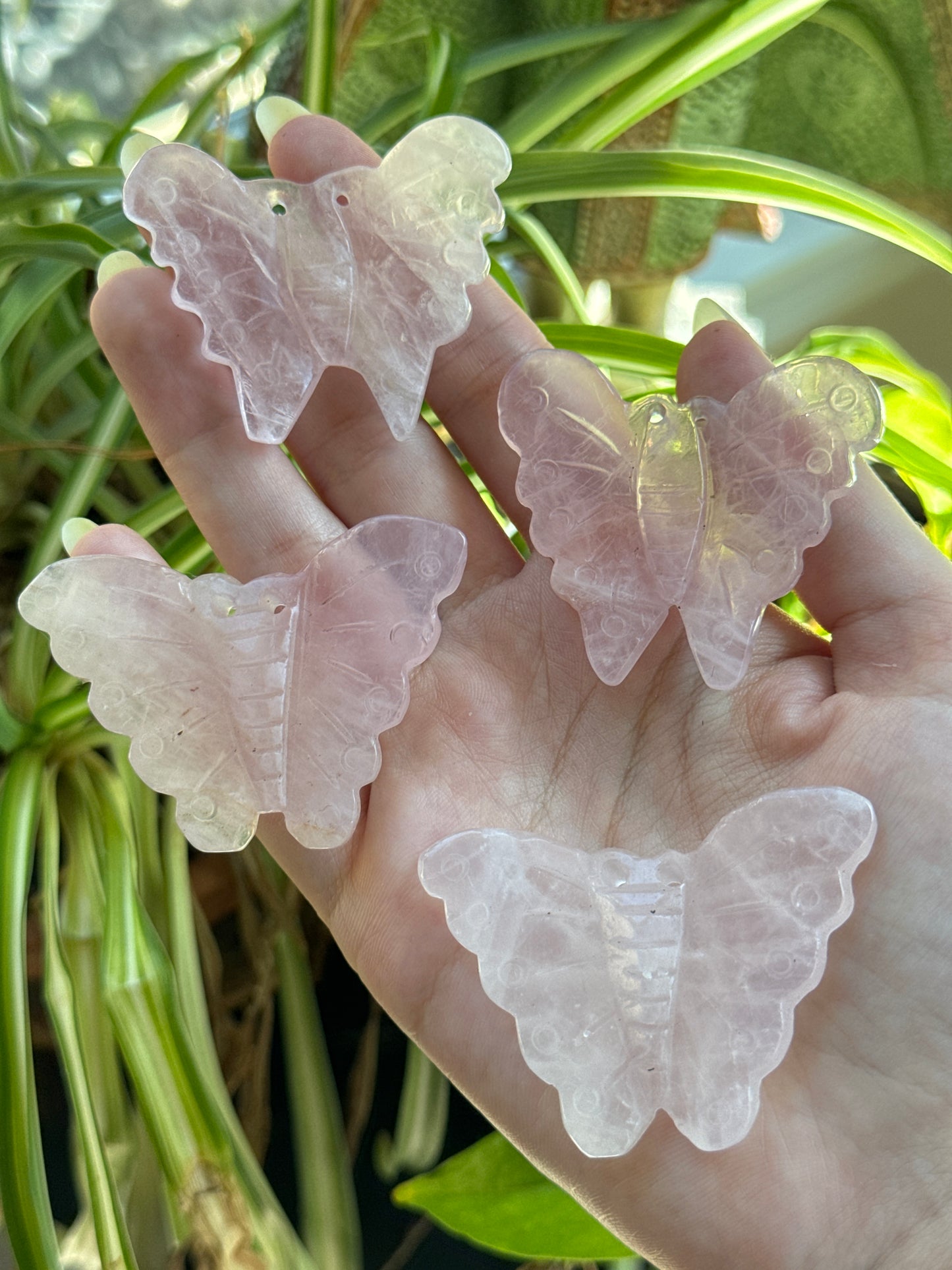 Rose Quartz Butterfly