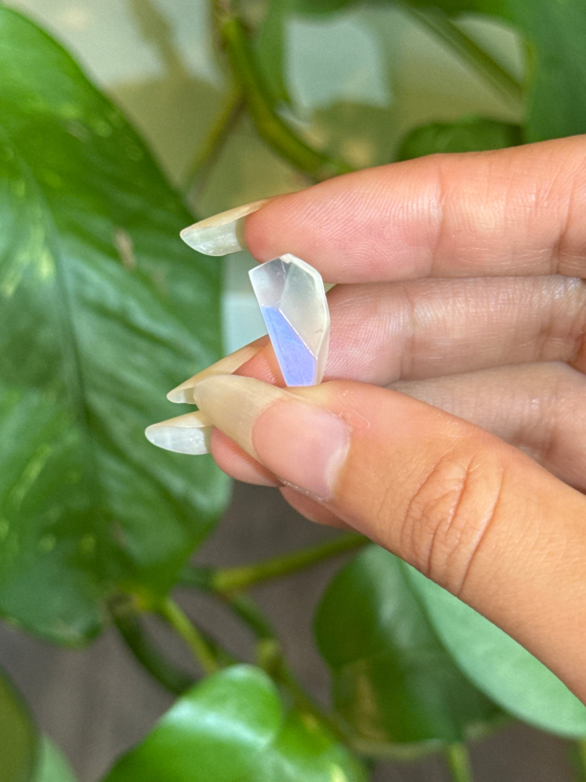 High Grade Flashy Moonstone Freeform