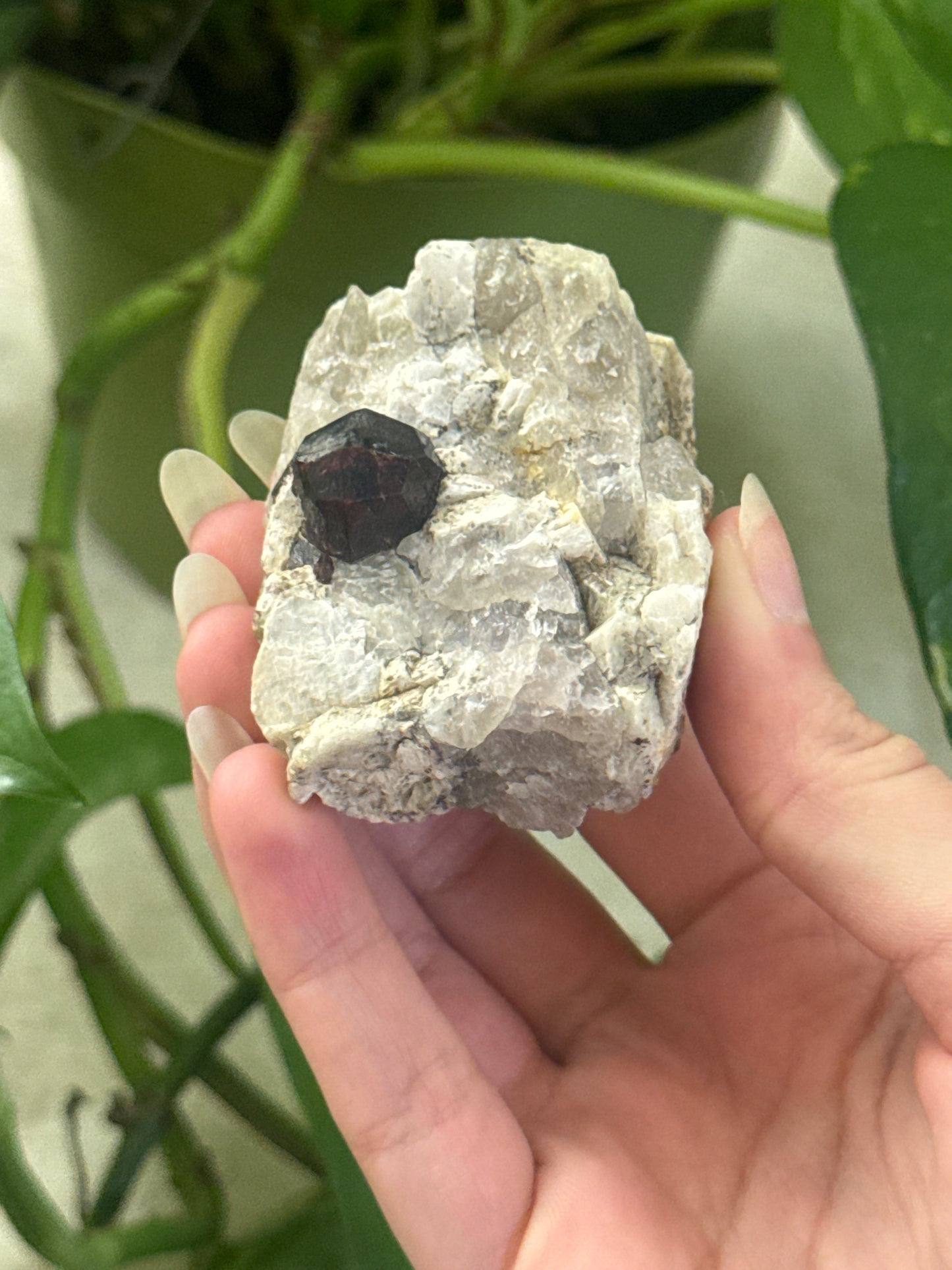Garnet on Smoky Quartz Matrix Specimen