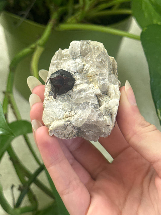 Garnet on Smoky Quartz Matrix Specimen