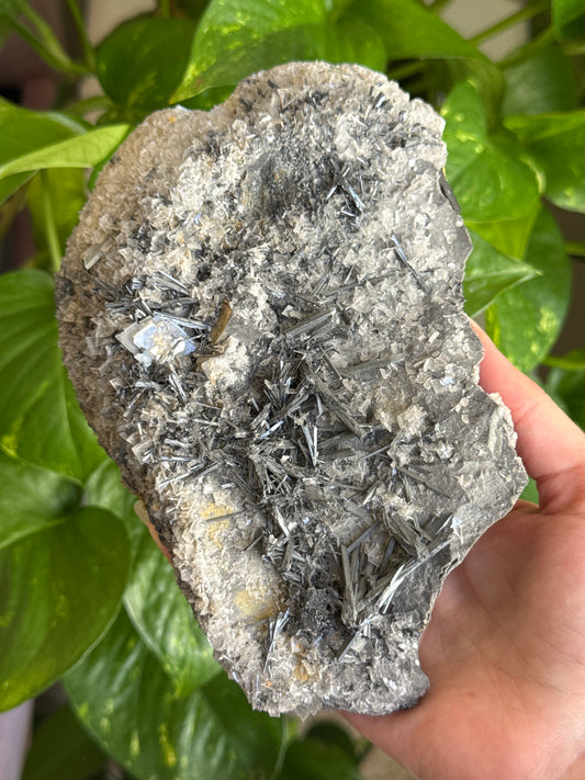 Large Exposed Stibnite Specimen