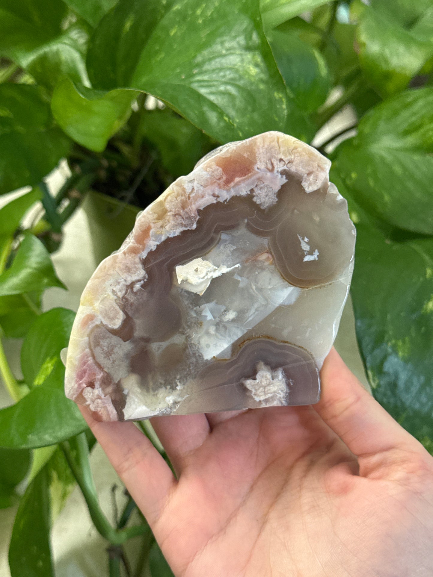 Flower Agate Slab
