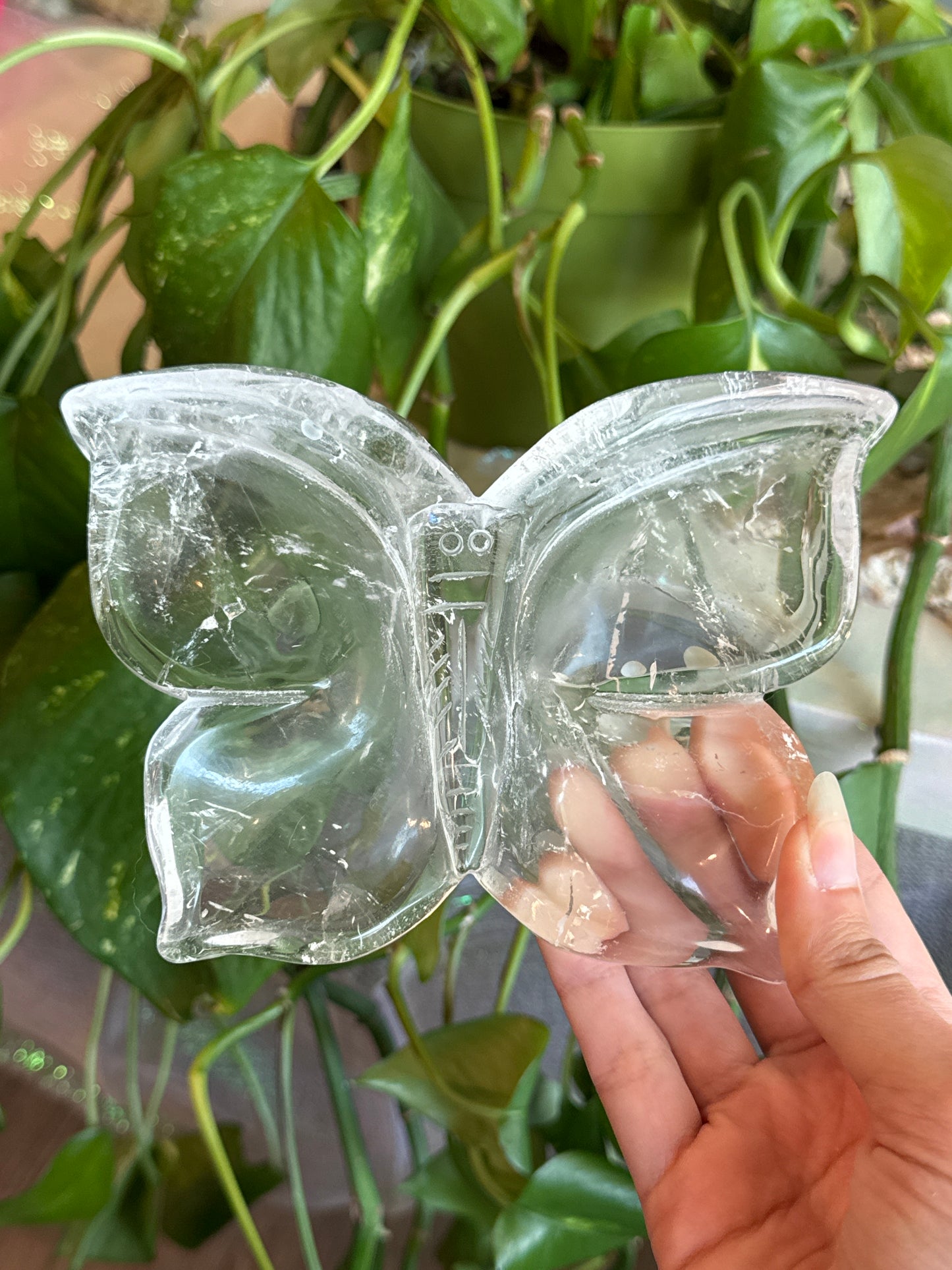 Super Clear Quartz Large Butterfly Bowl
