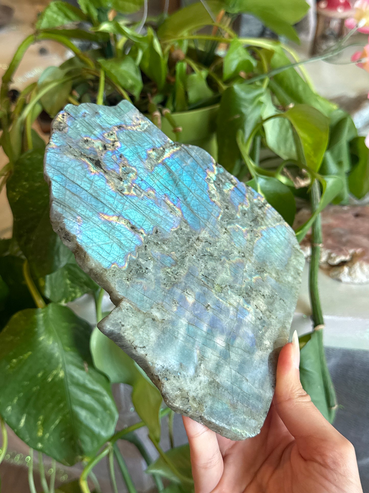 Flashy Mermaid Labradorite Slab