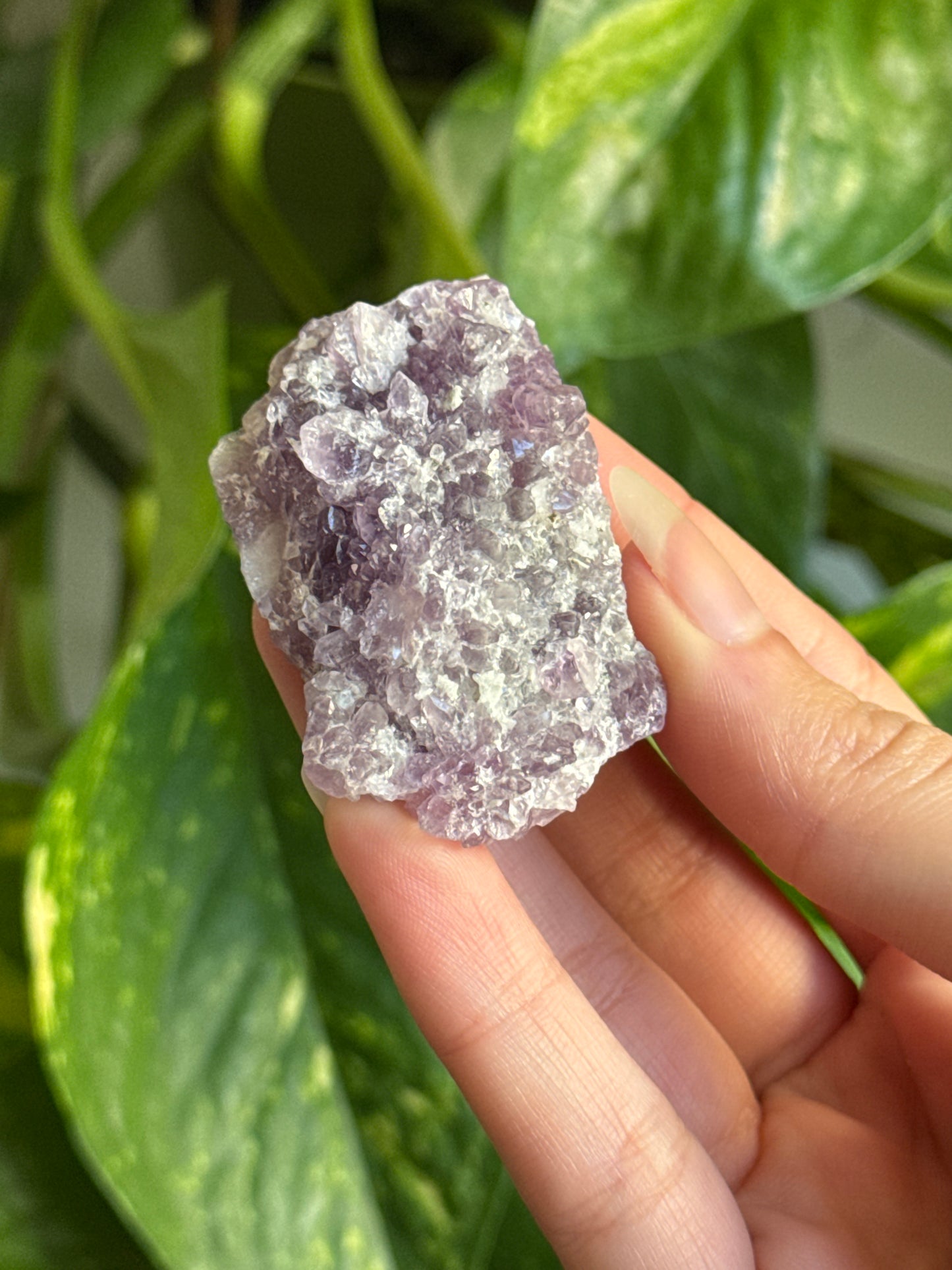 Amethyst Cluster C