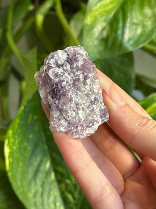 Amethyst Cluster C