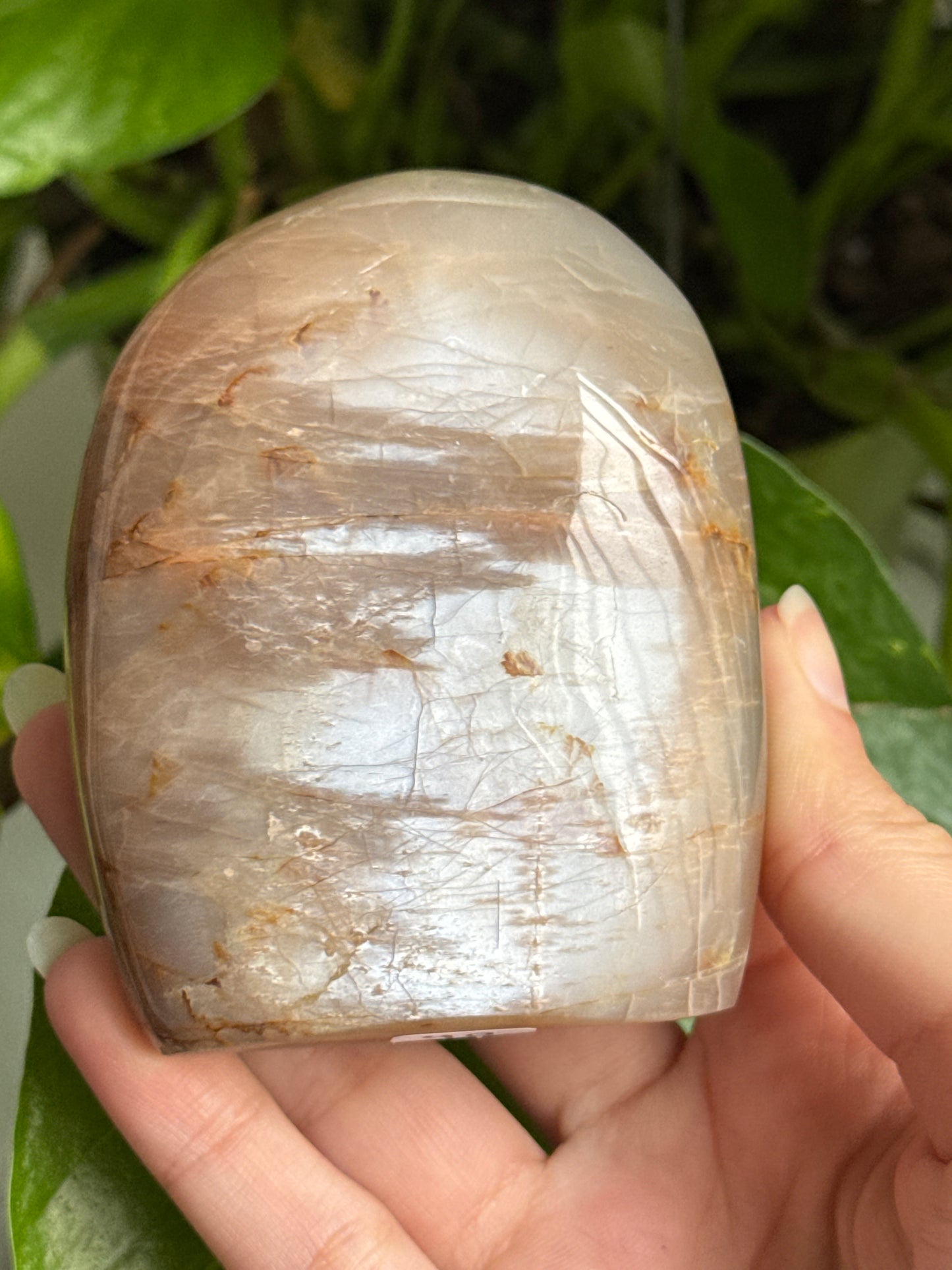 Peach Moonstone Freeform A