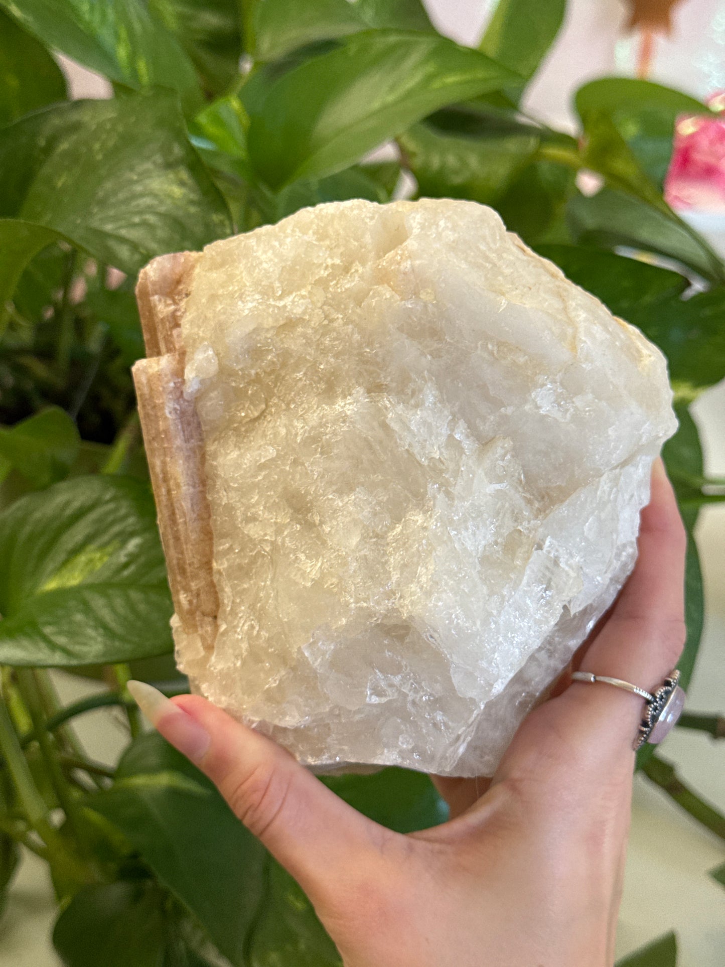 XL Pink Tourmaline on Quartz Specimen