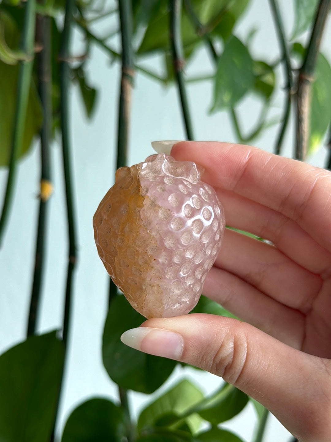 Rose Quartz and Golden Healer Strawberries