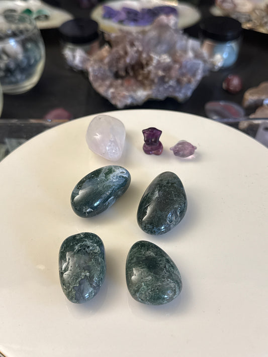 sophie_beth_12 listing