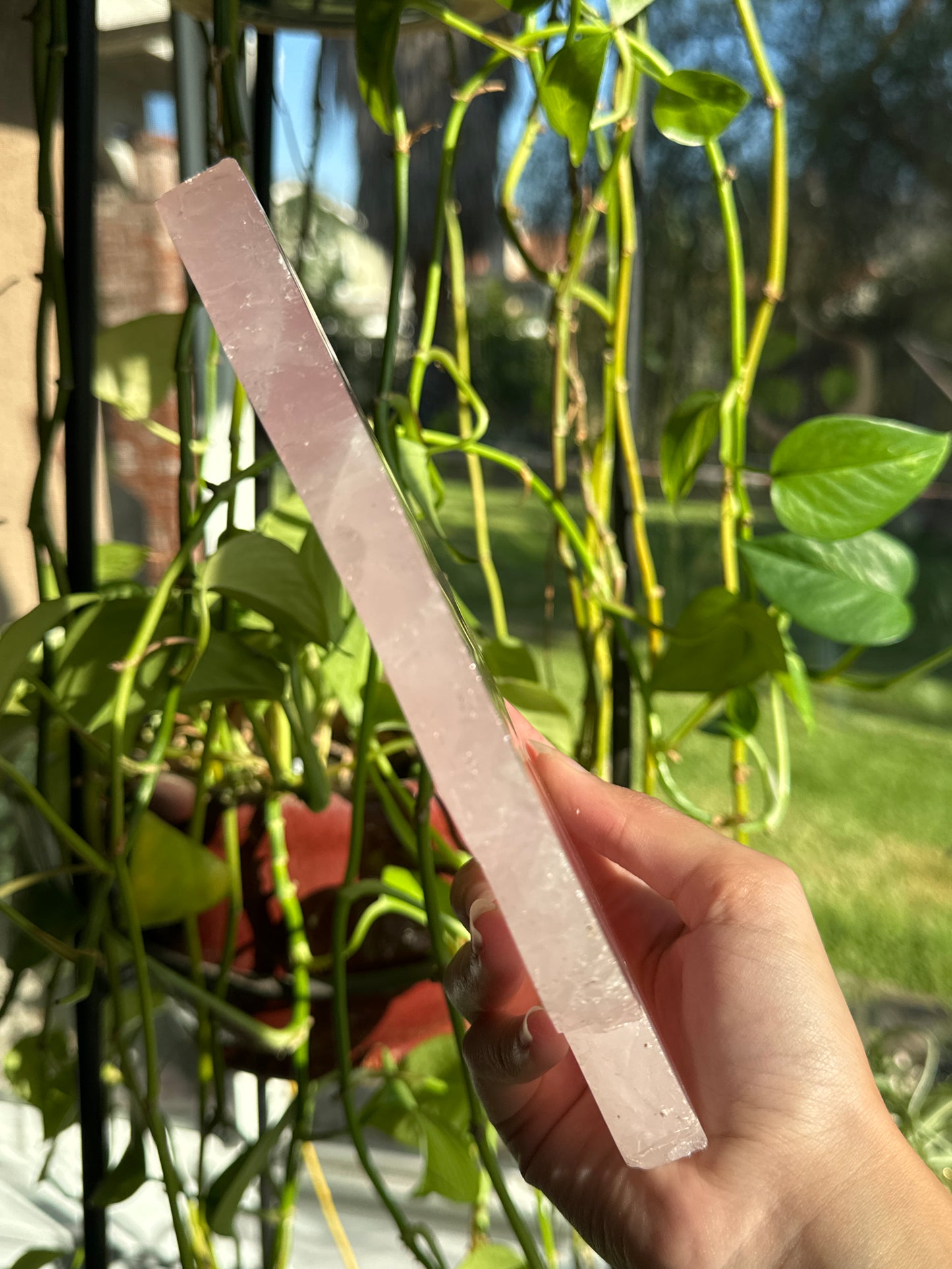 Bubblegum Rose Quartz Slab with Asterism