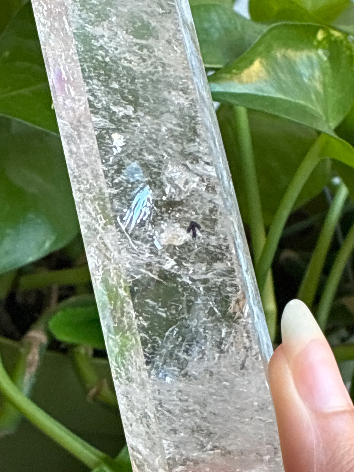XL 14.5” Clear Quartz Tower with Enhydro Bubble