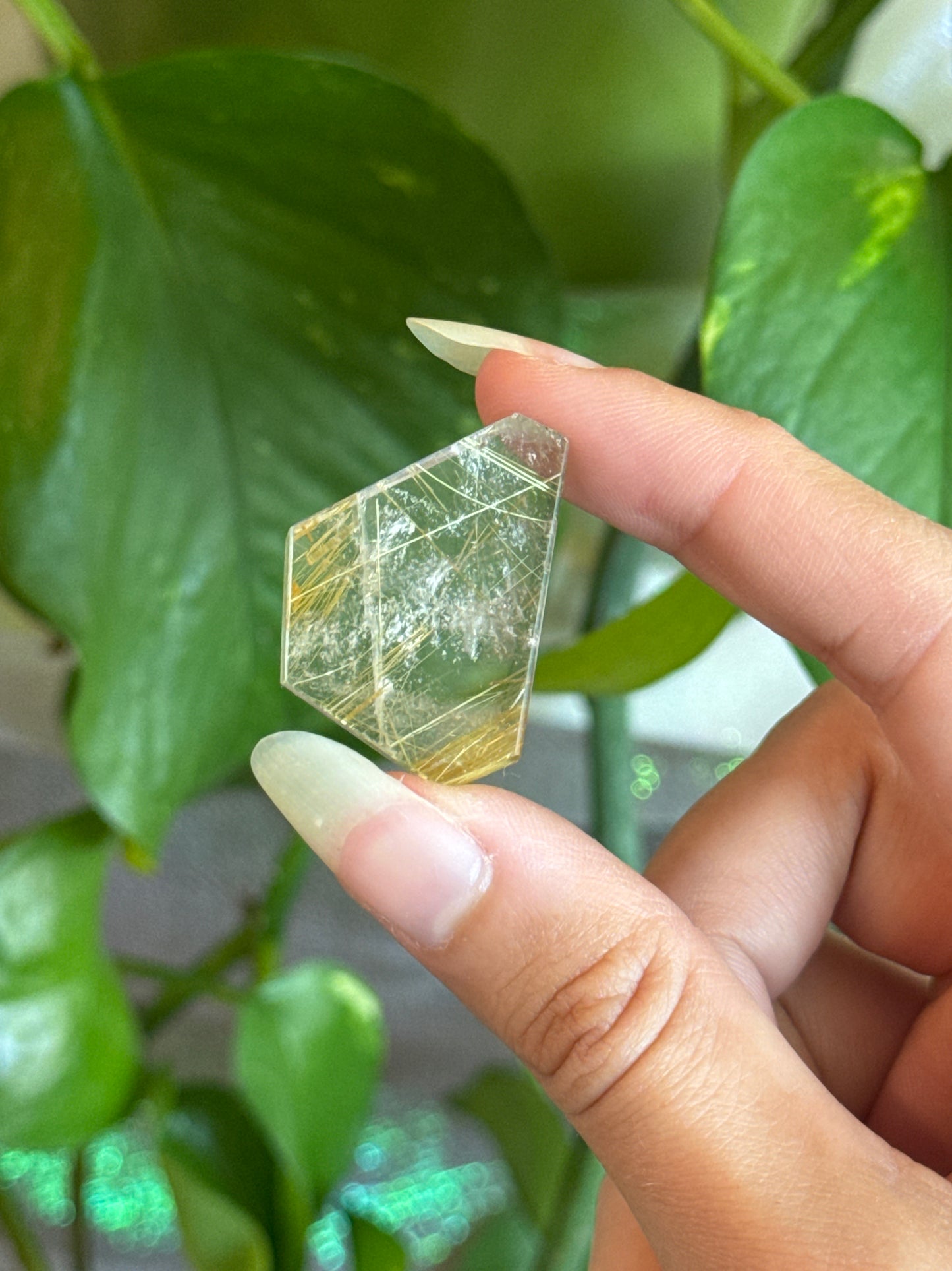 Gorgeous Golden Rutile Included Clear Quartz Mini Slab