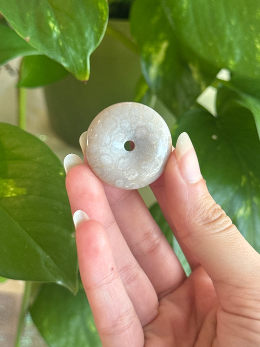 Fossilized Coral Disk