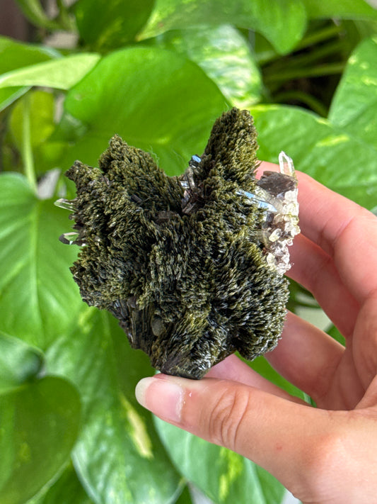 Collectors Grade Forest Epidote with Quartz Specimen B
