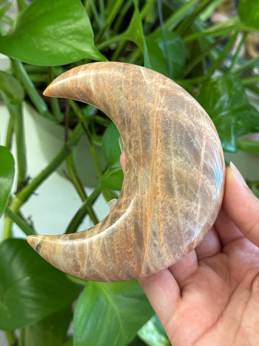 Flashy Peach Moonstone Crescent Moon