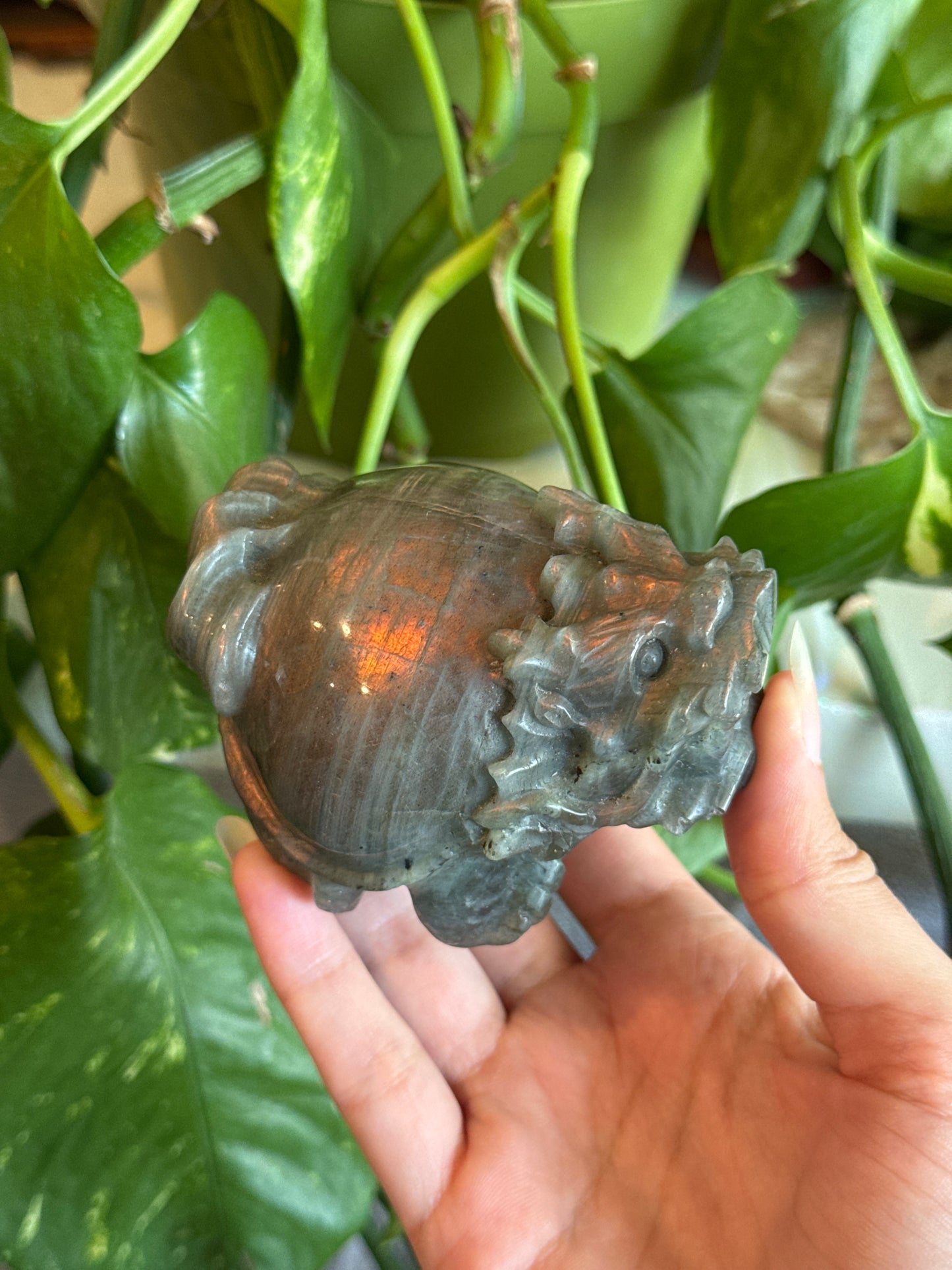 Money Dragon Labradorite Carving for Attracting Wealth & Abundance