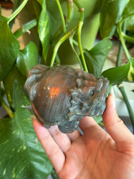 Money Dragon Labradorite Carving for Attracting Wealth & Abundance