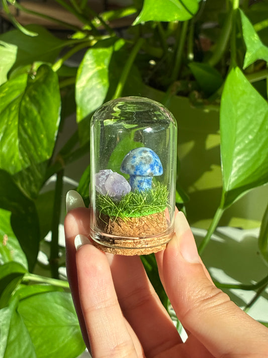 Sodalite Mushroom & Raw Amethyst Mini ‘Intuition’ Terrarium