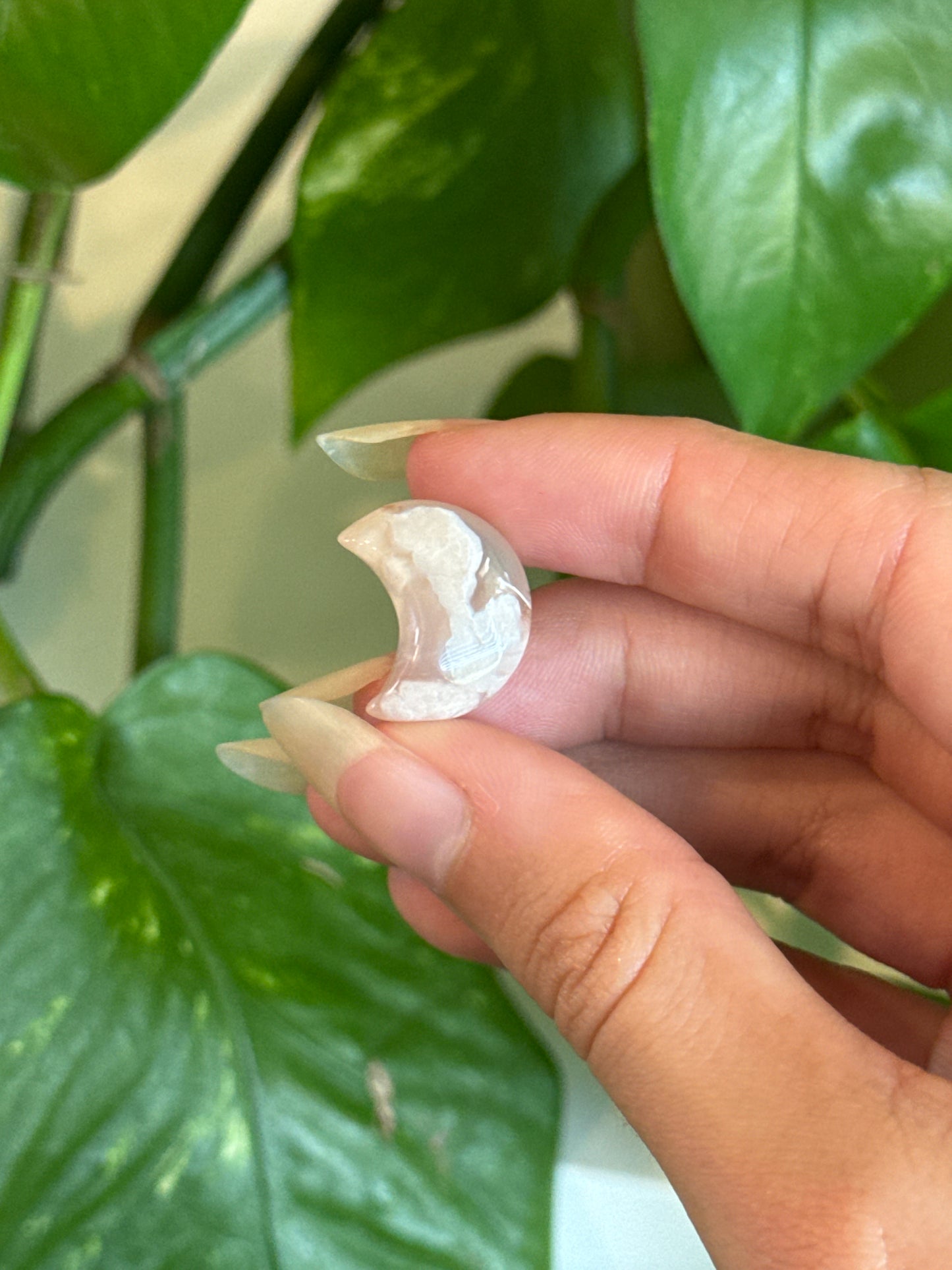 Flower Agate Crescent Moon