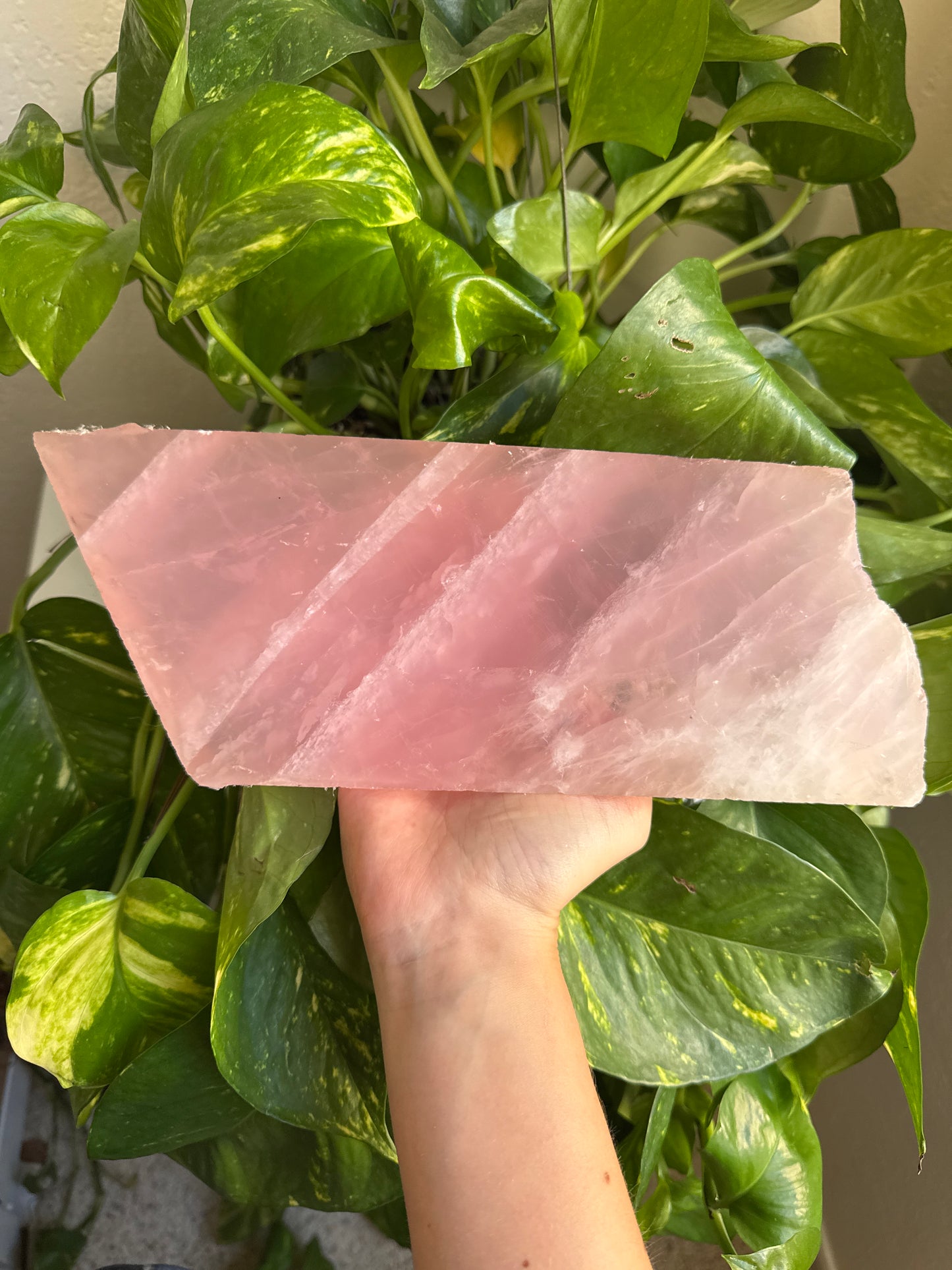 XL Rose Quartz Slab