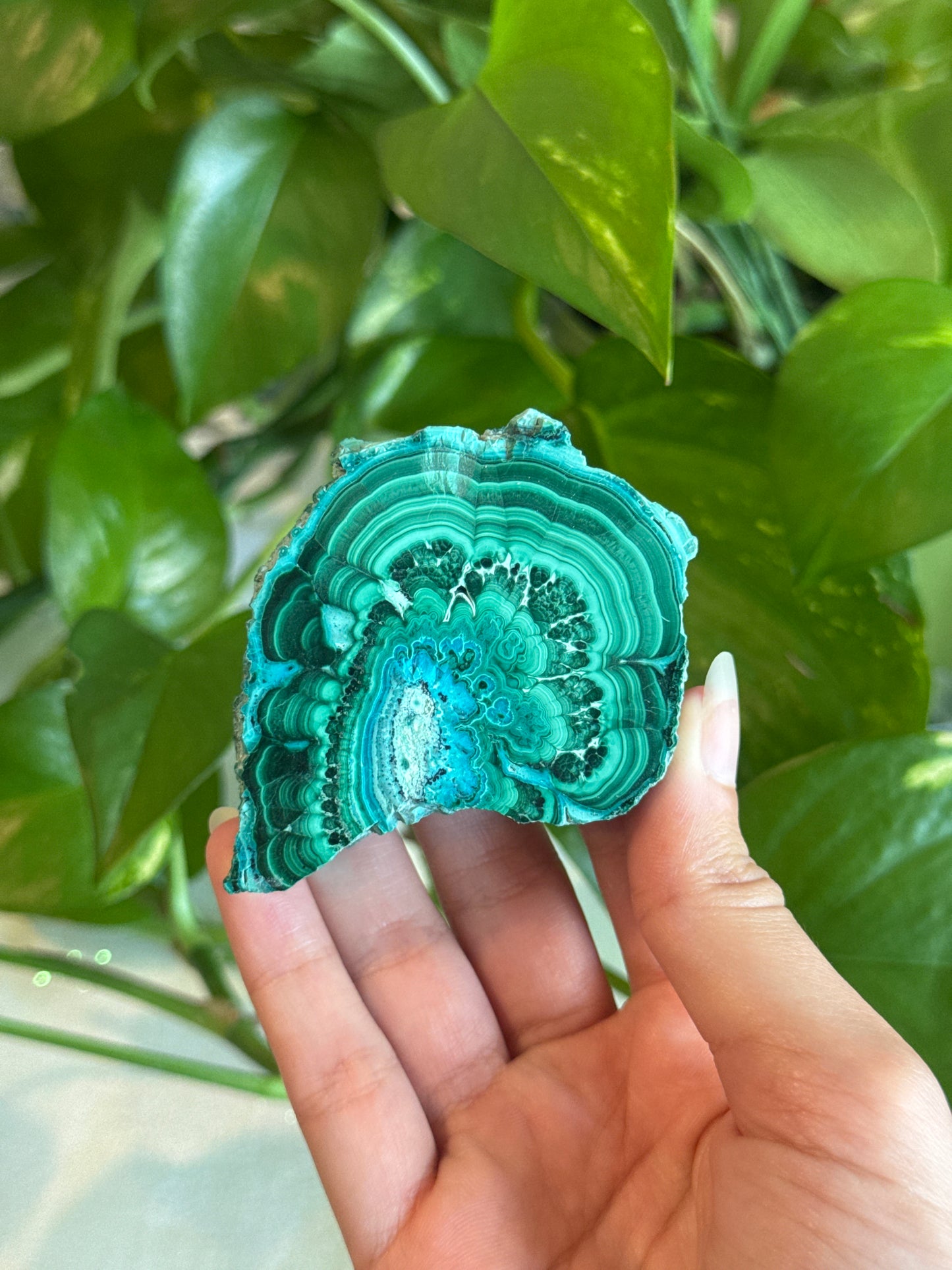 Malachite & Chrysocolla Unique Specimen Slab E