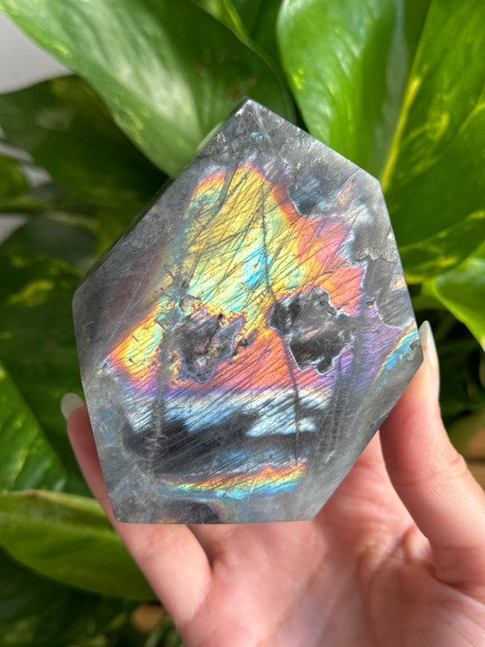 High Grade Rainbow Labradorite Freeform