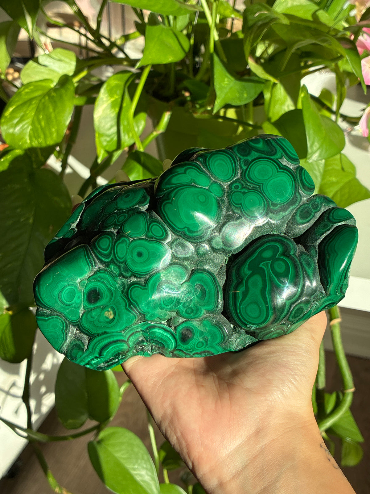 Statement Collectors Malachite Polished Large Freeform