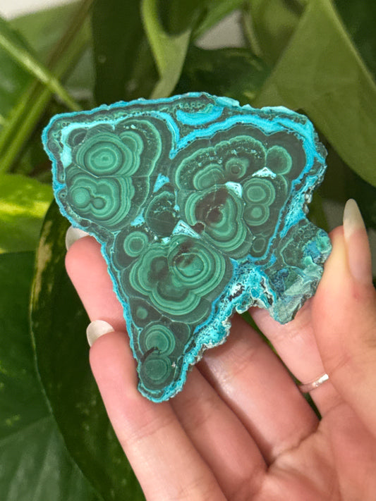 Malachite & Chrysocolla Unique Slabs | You Pick