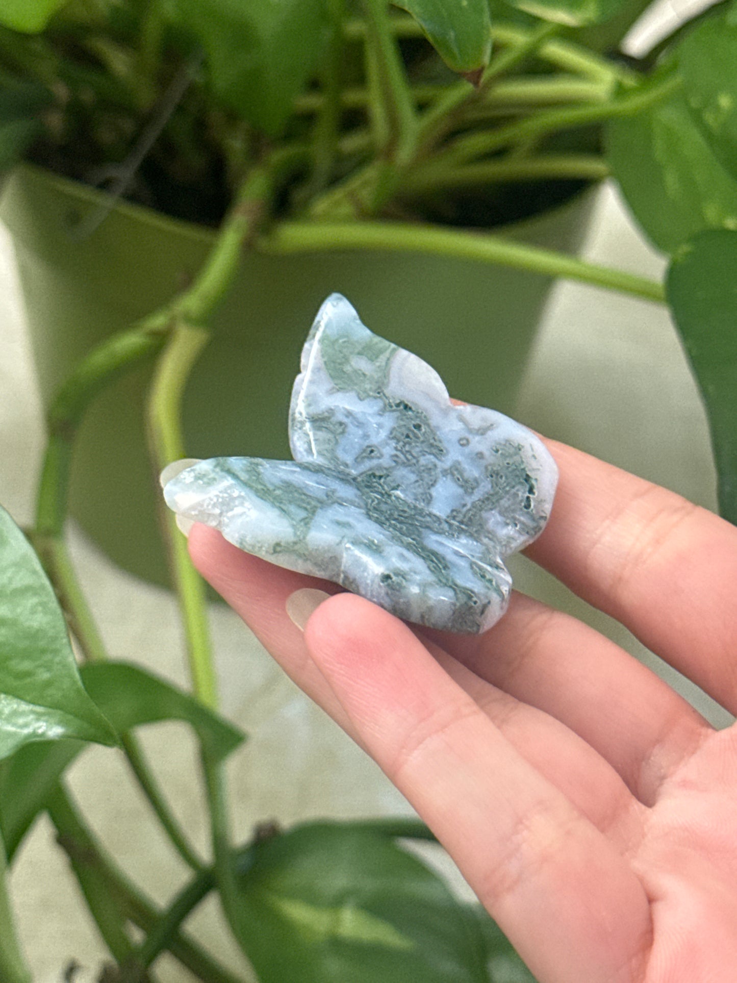 Moss Agate Butterfly